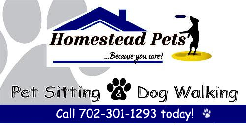 Dog Walking and Pet Sitting services in Las Vegas for Homestead Pets